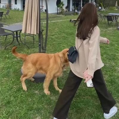 科学怪人创造的女人